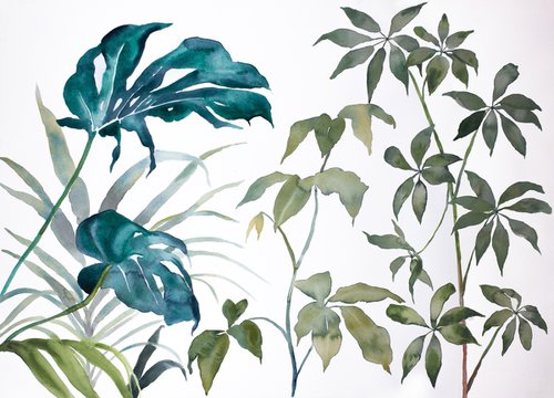 Plant Study No. 109 by Elizabeth Becker