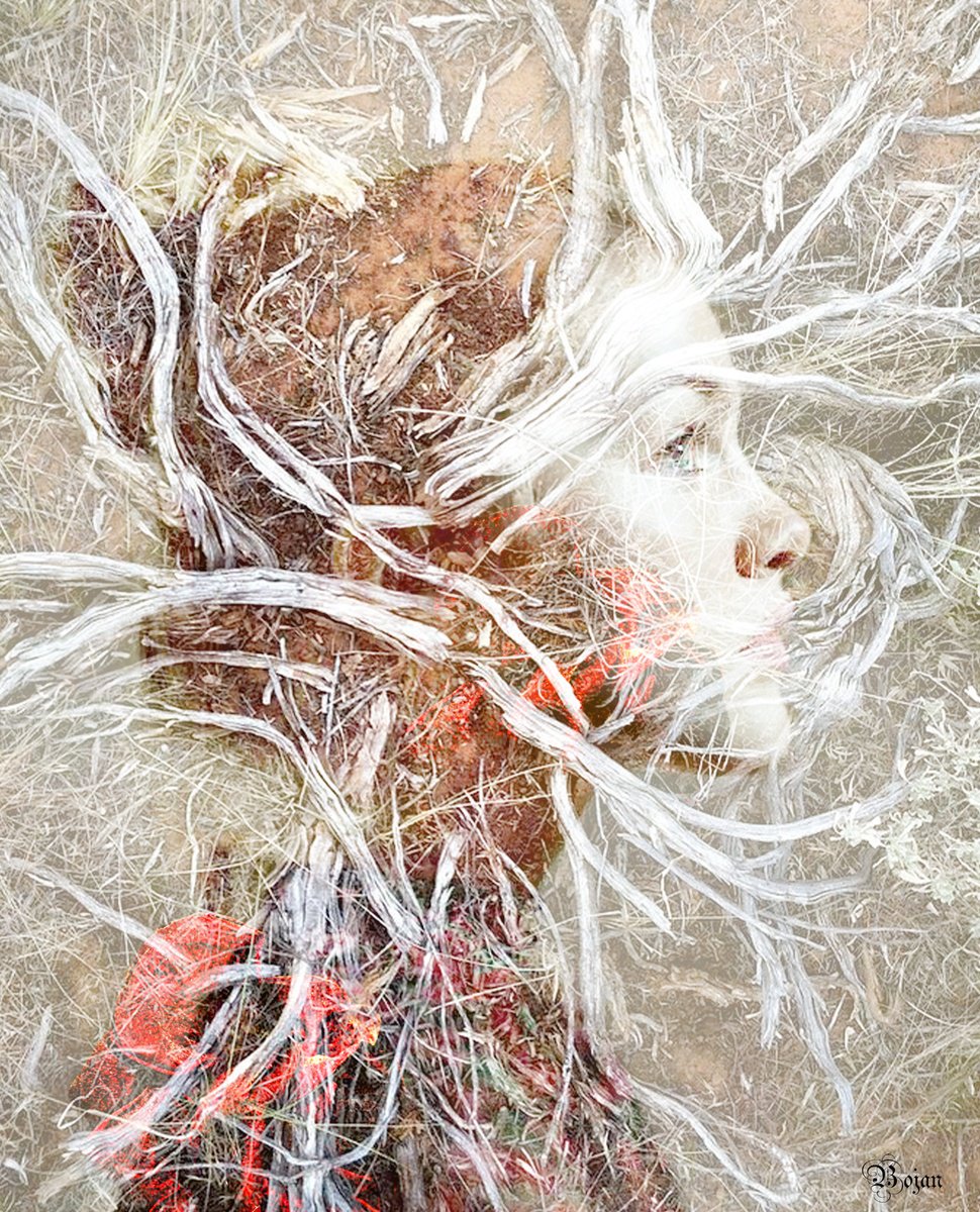 Illustrative Portrait Photograph By Bojan Jevtic, 35 X 43, My Roots, Original Artwork