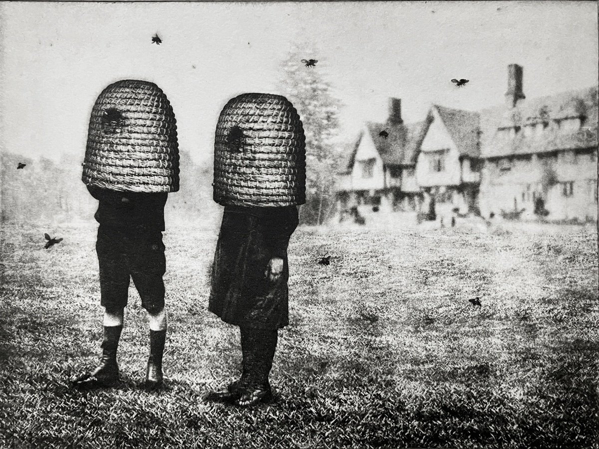 Surrealistic Portrait Etchings & Engravings By Jaco Putker, 13 X 10, Brood Ii, Original Artwork