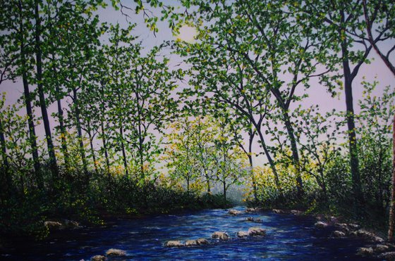 A Secret Forest river