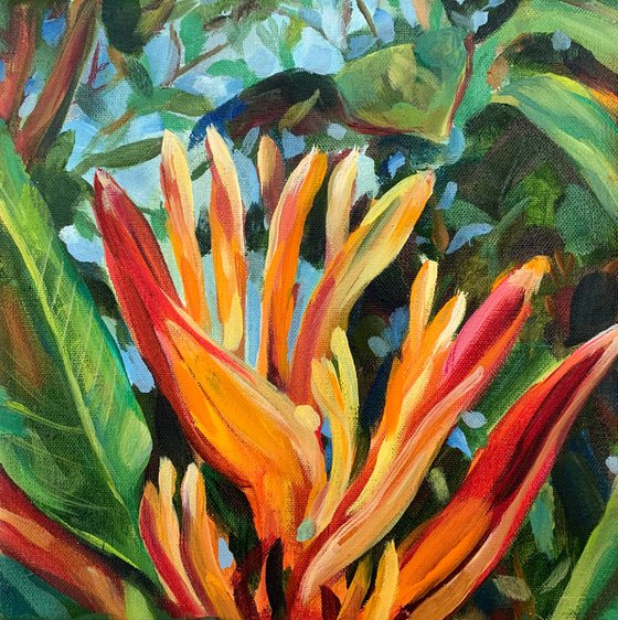 Heliconia.Floral Limited Print