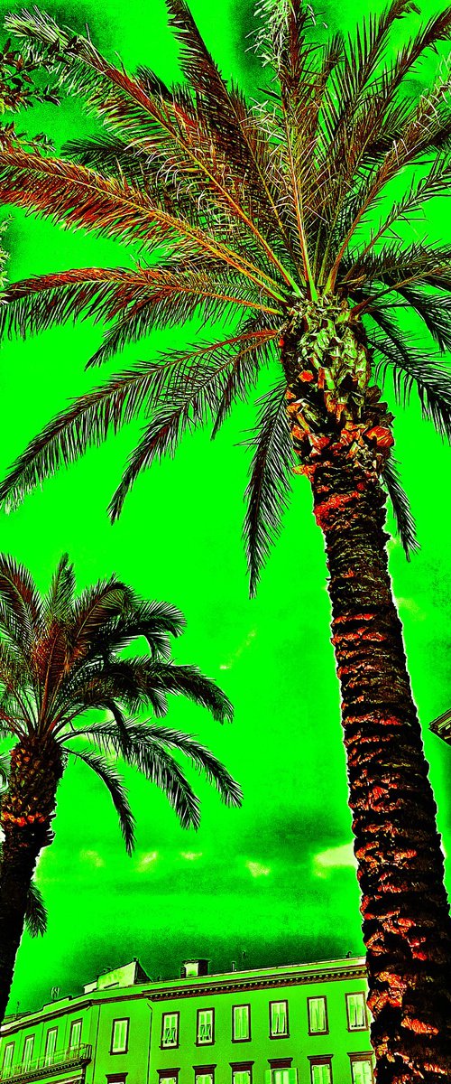 ABC#208 Palm by Mattia Paoli