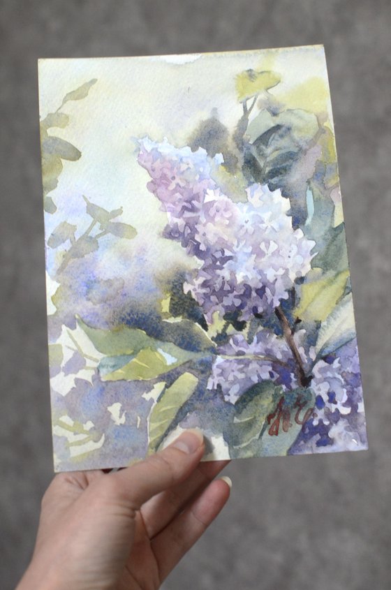 Lilac branch in watercolor
