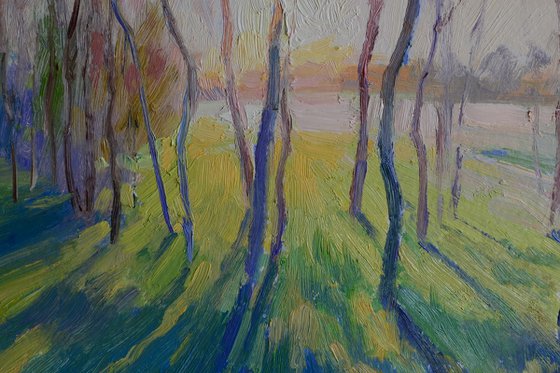 Morning in the meadow