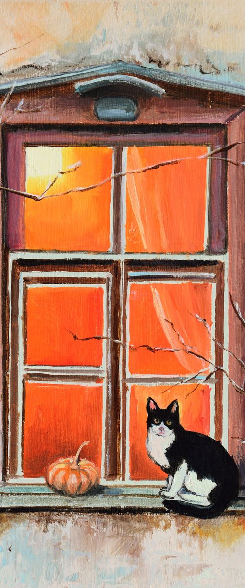 Tuxedo cat in a windowsill by Lucia Verdejo