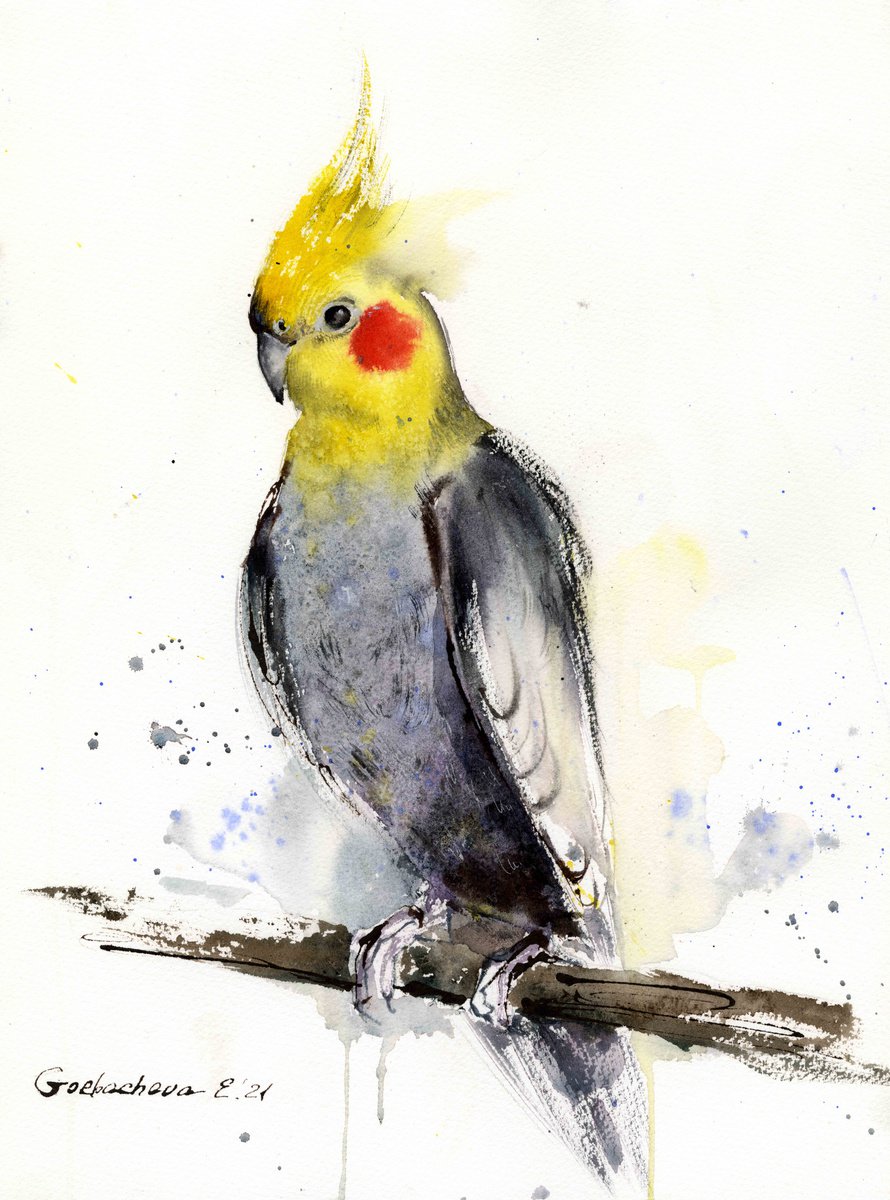 Parrot on a branch by Eugenia Gorbacheva