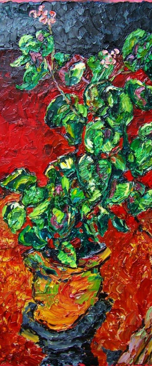 Begonias on red by Richard Meyer