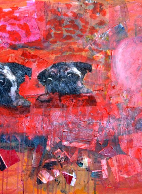 Two angry pugs by Pavel Kuragin