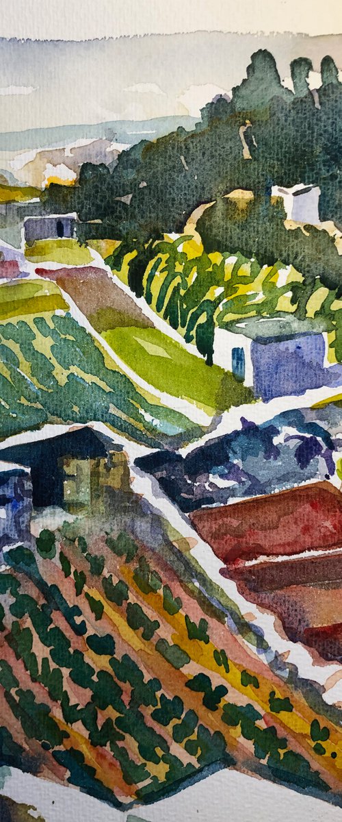 Agricultural terraces - Gozo by Annie Meier