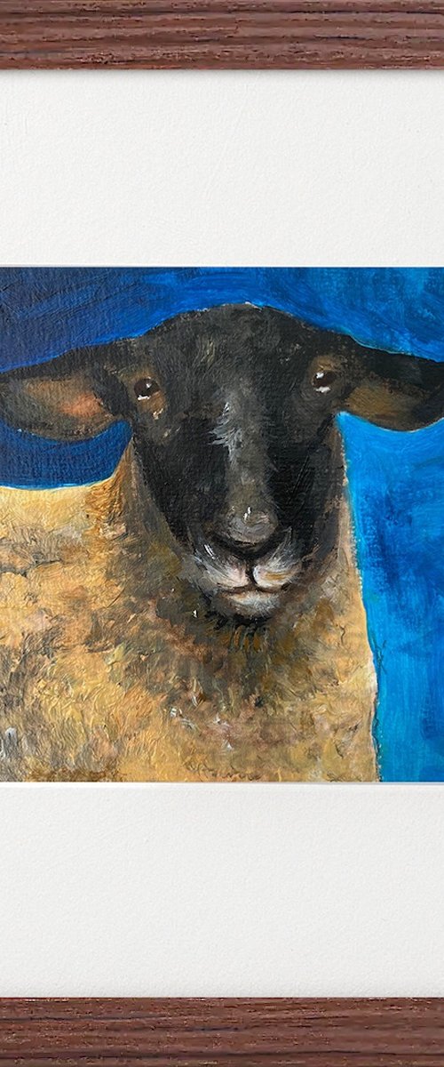 Three sheep portraits framed by Teresa Tanner