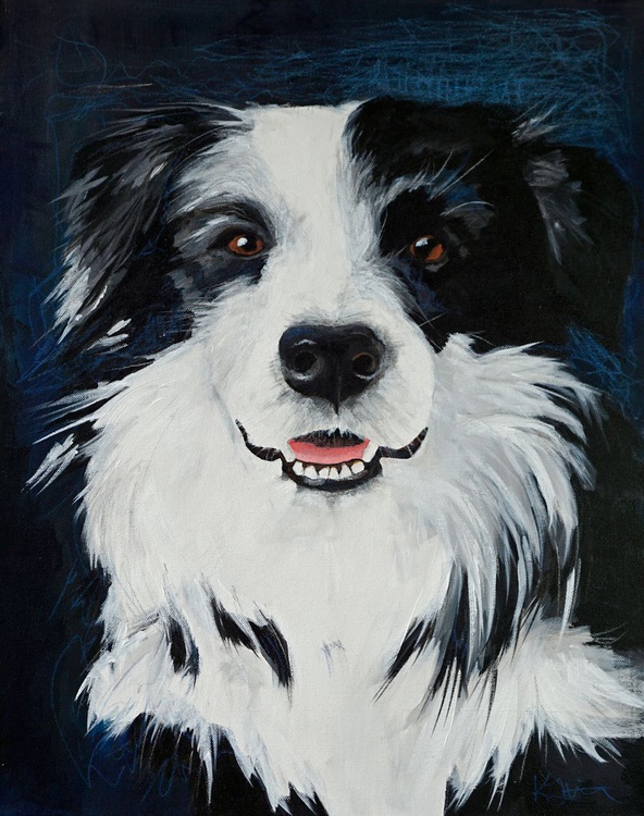 Border Collie Black And White By Karen Hilton Artfinder