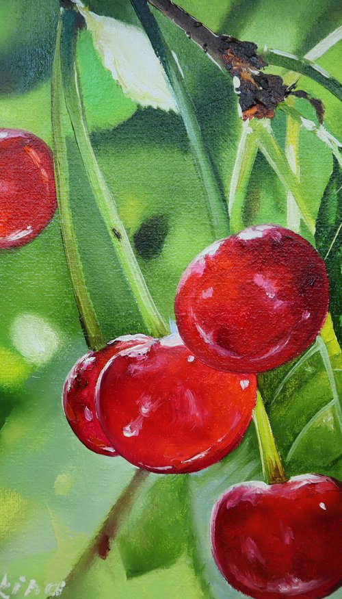 Red Cherries, Garden Scene by Natalia Shaykina