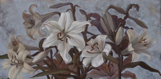 Lilies