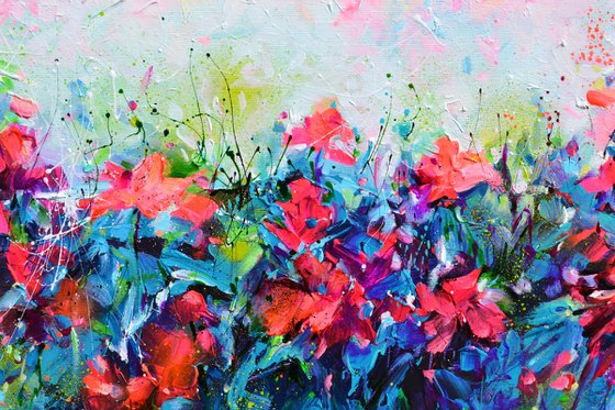 Red Wild Poppies Field at Dusk