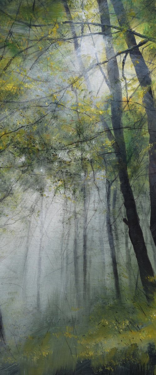 " Sun beams in the foggy  forest " by Ivan  Grozdanovski