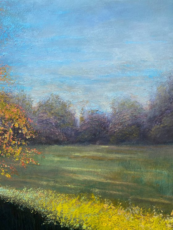 Spring Landscape