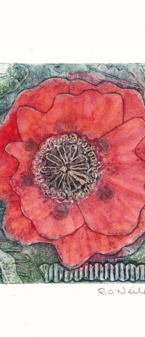 Poppy by Rory O’Neill