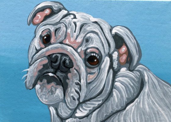 ACEO ATC Original Miniature Painting White English Bulldog Pet Dog Art-Carla Smale