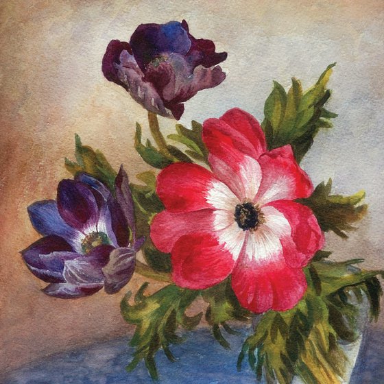 Anemones in a glass
