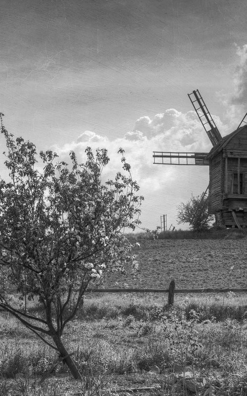 The month of May. by Valerix