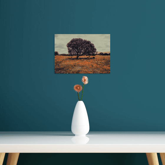 Lonely Tree - A4