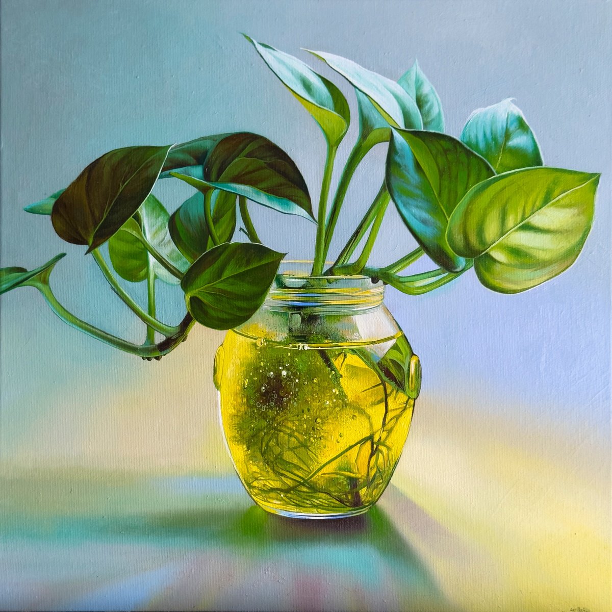 Photorealistic Botanical Oil Painting By Anastasia Parfilo, 16 X 16, The Light Through The Sprout, Original Artwork
