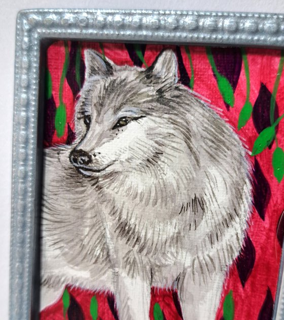 gray wolf