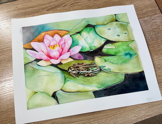 Lily pads and frog watercolour painting