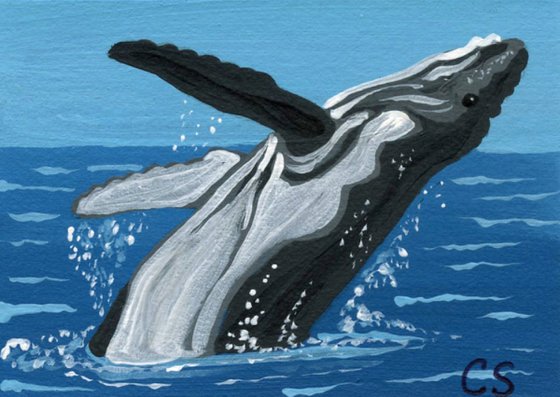 ACEO ATC Original Miniature Painting Humpback Whale Marine Wildlife Art-Carla Smale