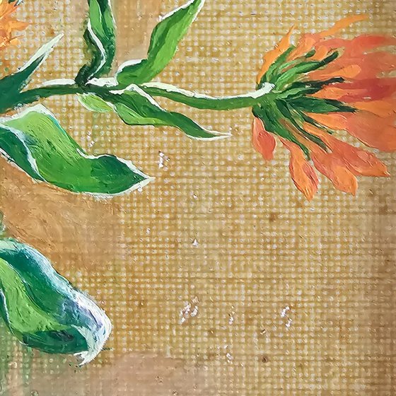 Orange Marigolds