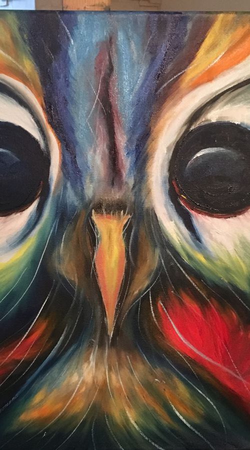 Owl by Timea  Valsami