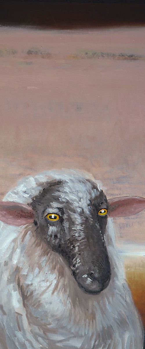 Thoughtful, oil painting of sheep by Arturas  Braziunas