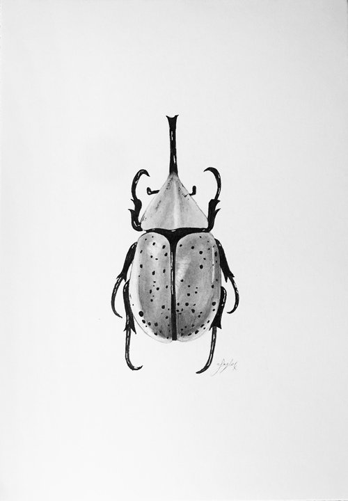 Dynastes granti rhinoceros beetle by Amelia Taylor