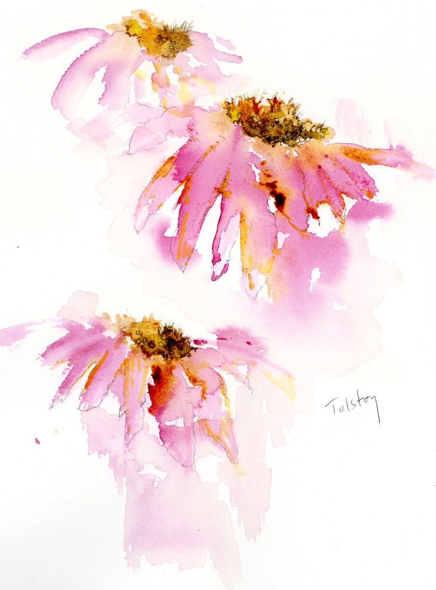 Impressionistic Botanical Watercolour By Alex Tolstoy, 10 X 14, Echinacea, Original Artwork