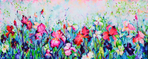 Colorful Iris Garden