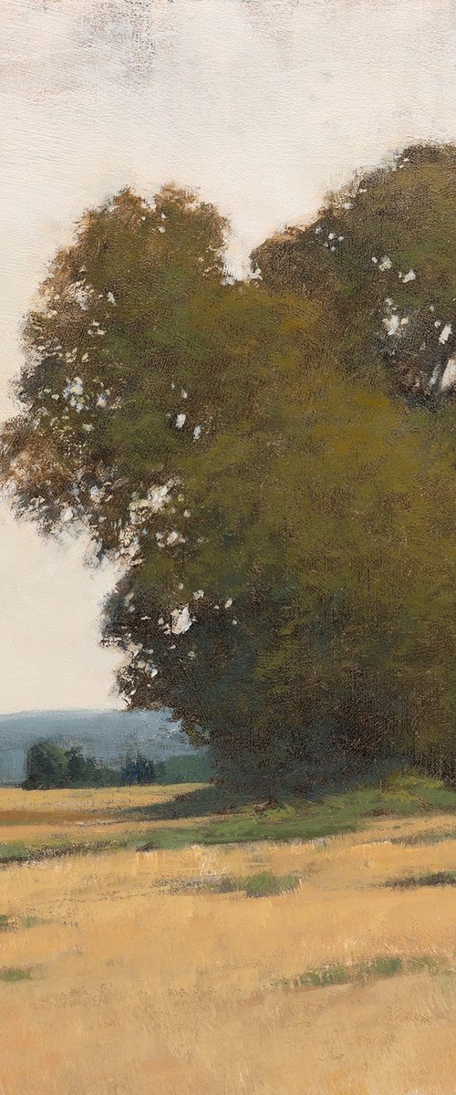 Summer Oak Trees 240810 by Don Bishop