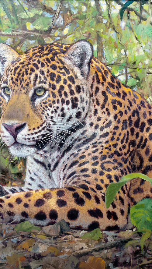 Jaguar by Gabriel Hermida