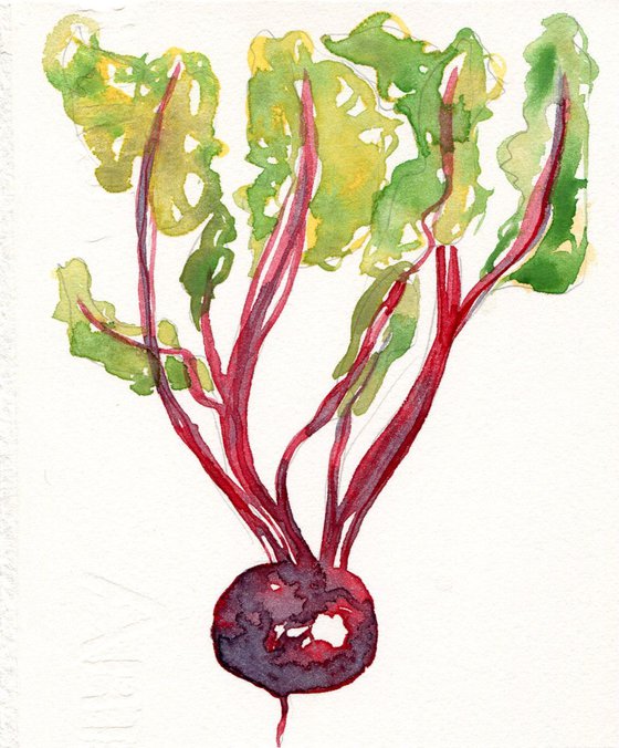 Original Watercolour Painting of Beetroot