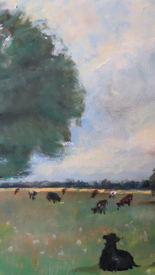 Cow Meadow by Malcolm Ludvigsen