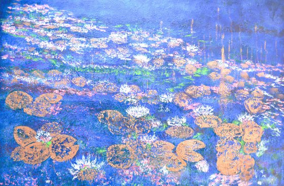 The Midnight Waterlilies