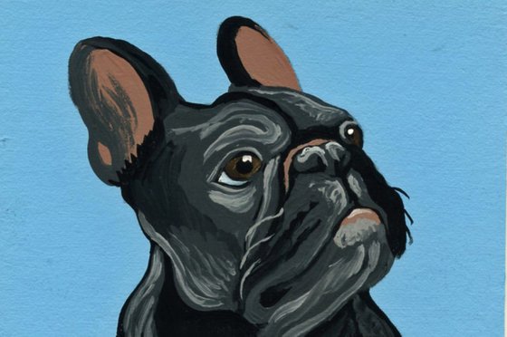 ACEO ATC Original Miniature Painting Black French Bulldog Pet Dog Art-Carla Smale