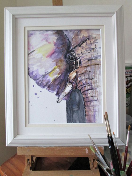Elephant half a portrait