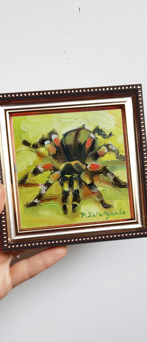 Lifelike Spider by Nataly Derevyanko