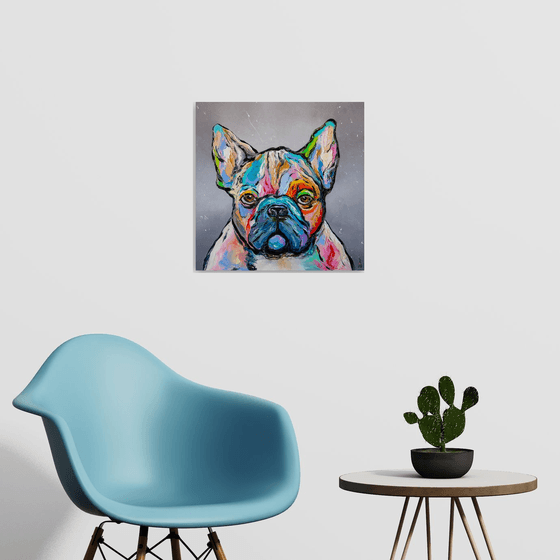 French Bulldog