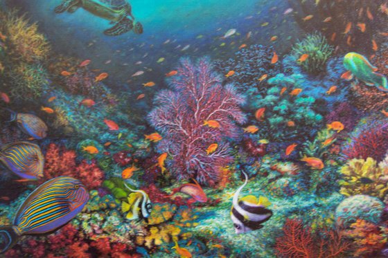 Coral Reef