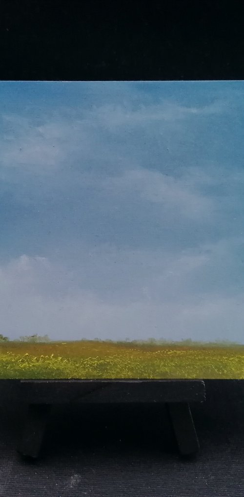 Summer Meadow Original Oil Painting Farm Land Wild Flower Meadow 6x4"" by Pip Walters