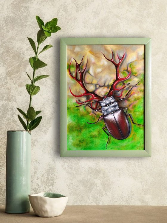 Deer or Beetle