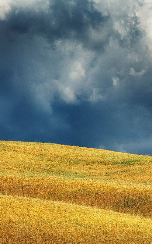 Summer in Tuscany  II. - Landscape Fine Art Photo by Peter Zelei