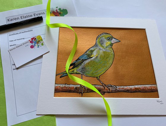 British Garden Birds series - Green finch