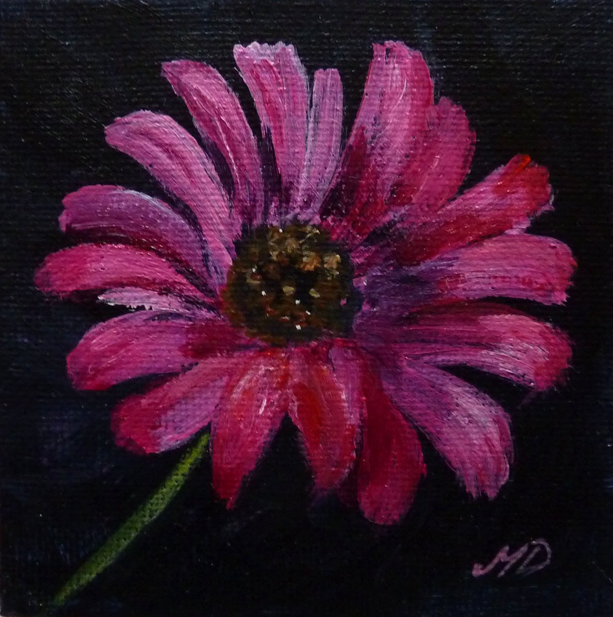 Pink Daisy by Margaret Denholm
